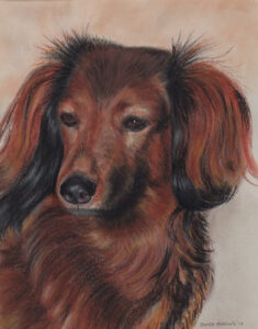 honden
